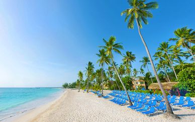 Sunscape Dominican Beach Punta Cana 4*