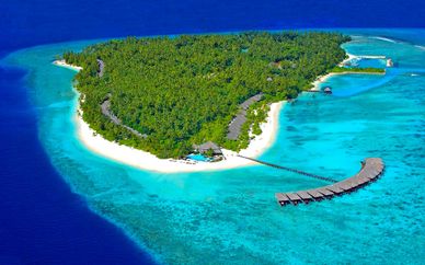 Filitheyo Island Resort & spa 4*