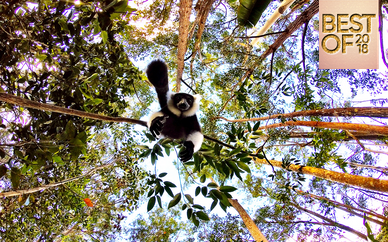 Tour alla scoperta del Madagascar tra natura e vulcani
