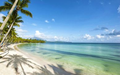 Grand Paradise Samana 4*