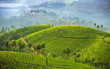Tour Privato Sri Lanka e soggiorno mare con volo Emirates