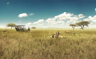 Cape Town & Aquila Game Reserve