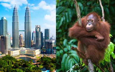 Discover Malaysia 4*