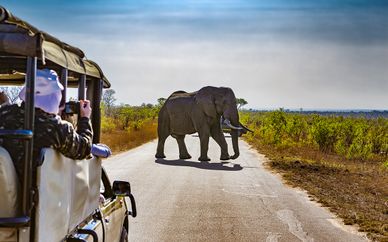 Cape Town, Winelands, Johannesburg & Kruger 4*