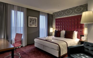 Crowne Plaza Amsterdam South 4*