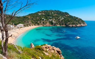 Els Pins Resort & Spa 4*