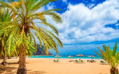 Tropical Park 4*