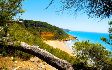 Hotel Estival Park Resort & Spa 4*