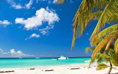 NH Capri La Habana 4* & Dhawa Cayo Santa Maria 4*