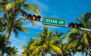 Park Central Hotel New York 4* & Washington Park Miami 4*