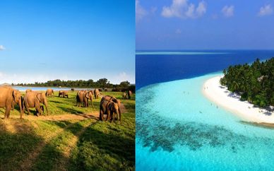 Private Tour of Sri Lanka with Maldives Beach Stay