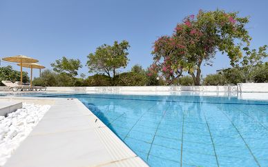 Vasia Royal Hotel 4*