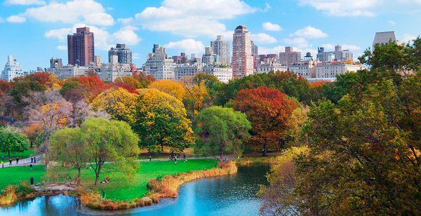 The Manhattan Club 4*