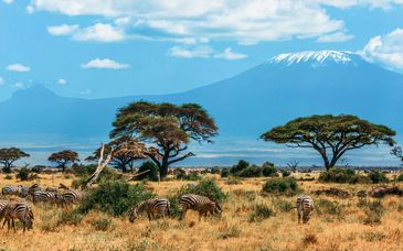 Safari in Kenia & optional Sea Diamond Boutique Hotel & Spa 5