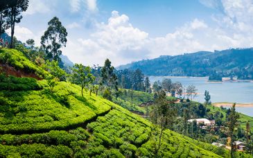 Private Rundreise in 7 Nächten im Avani Kalutara Resort 4* The Blue Water Hotel & Spa 5*