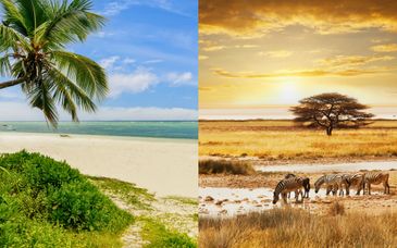 SBH Monica Zanzibar 5* + safari van 2 nachten in het Selous-reservaat