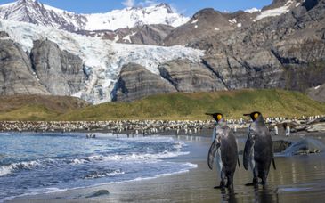 Rondreis (met expeditiecruise) van 11 nachten van Buenos Aires naar Antarctica