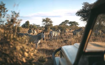 Tinyiko Kruger Lodge 4*