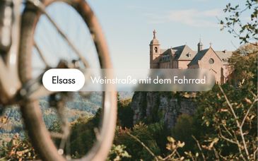 Hotel Le Colombier 4*
