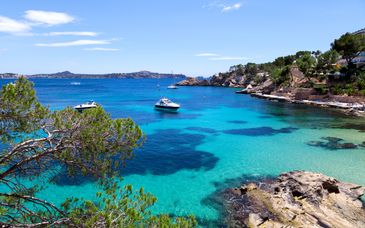 Erlebnisangebot: Fergus Style Palma Beach 4*