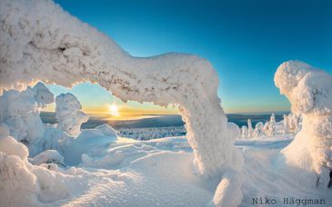 Lapplands Winterzauber