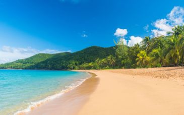  Résidence Piton Bungalows Ecolodges
