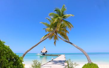 Canareef Resort Maldives 4* und optional Dubai