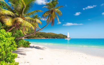 Adults Only: Ocean Cliff Hotel Negril 5*
