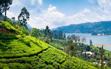 Private Rundreise: Höhepunkte Sri Lankas mit Strandaufenthalt