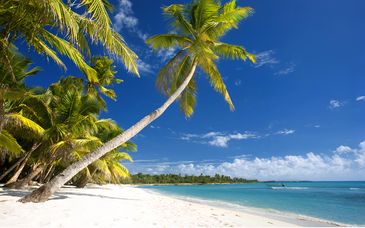 Occidental Punta Cana 5*