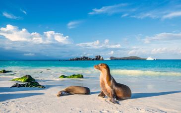 Private Tour: Magie der Anden und paradiesische Inseln