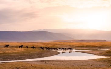 Rundreise: Auf den Spuren der Big Five