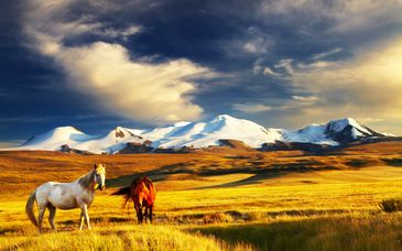 Erlebnisreise in der Mongolei in 7 Nächten / 8 Tagen