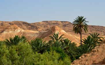 Private Rundreise: Antike Stätten, orientalische Märkte und weite Landschaften