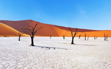 Gruppenrundreise: Zwischen Wüste, Wildtieren und Küstenstadt