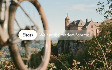 Hotel Le Colombier 4*