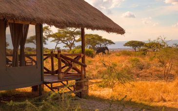 Safari mit Aufenthalt im Diamonds Mapenzi Beach 5*