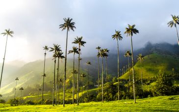 Private Entdeckungstour durch Kolumbien und die Karibikküste