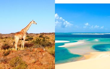 Autotour: Die Wunder des Zulu-Königreichs und Verlängerung in Mosambik