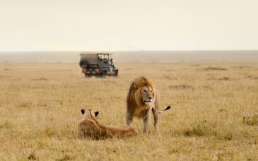 Calabash Safari Lodge 4*