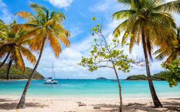 Kreuzfahrt: Mit dem Katamaran zu den Grenadin Inseln