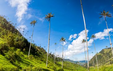 Private Tour durch Kolumbien