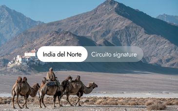 Circuito privado: India entre el cielo y palacios en 17 o 19 noches