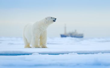 Crucero de 9 noches por el Círculo Ártico con estancia en la capital noruega