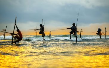 Circuito Ceilán Auténtico y estancia en Occidental Eden Beruwala 5*