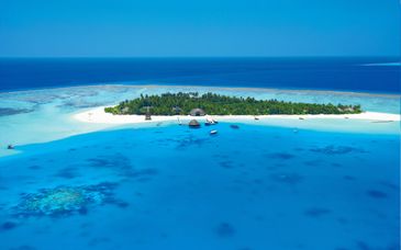 Combinado: Canareef Resort Maldives 4* con pre extensión posible en el Marriott Al Jaddaf Dubai 5*