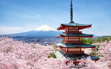 Circuito en libertad: Monte Fuji y tesoros japoneses en 11, 13 o 15 noches