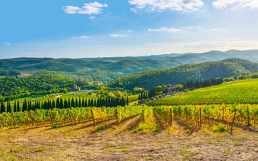 Autotour: Entre la Toscana y Umbría en 4-14 noches