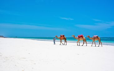 Sarova Whitesands Beach Resort & Spa Mombasa 4* con posible Safari privado de 1 a 3 noches