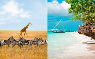 Combinado: Safari con extensión en el The One Resort Zanzibar Tanzania 4* de 9 a 16 noches